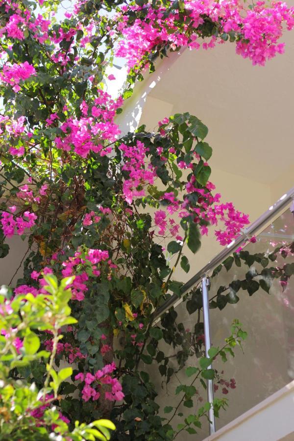 Acelya Otel Bodrum Eksteriør billede
